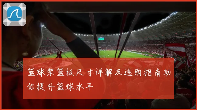 篮球架篮板尺寸详解及选购指南助你提升篮球水平