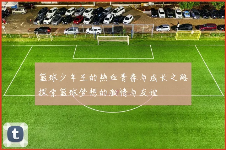 篮球少年王的热血青春与成长之路探索篮球梦想的激情与友谊