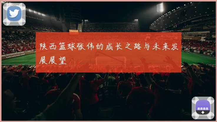 陕西篮球张伟的成长之路与未来发展展望