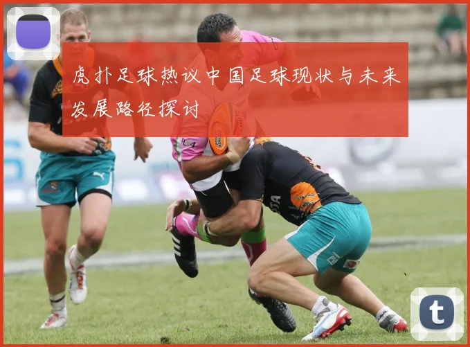 虎扑足球热议中国足球现状与未来发展路径探讨