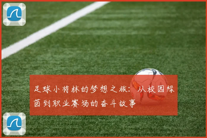 足球小将林的梦想之旅：从校园绿茵到职业赛场的奋斗故事
