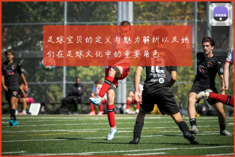 足球宝贝的定义与魅力解析以及她们在足球文化中的重要角色