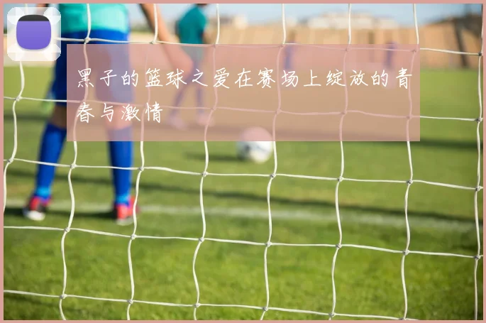 黑子的篮球之爱在赛场上绽放的青春与激情