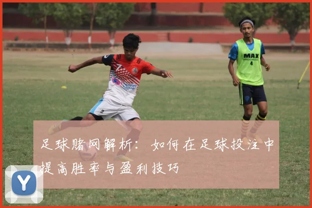 足球赌网解析：如何在足球投注中提高胜率与盈利技巧